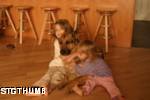 h5.JPG

2,899.36 KB 
3072 x 2048 
12/22/2006